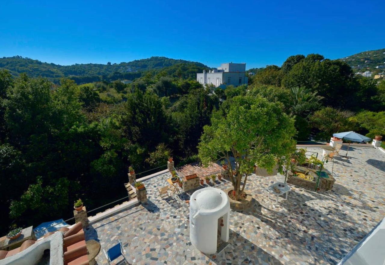 Villa Vincenzo Di Meglio Barano dʼIschia Dış mekan fotoğraf