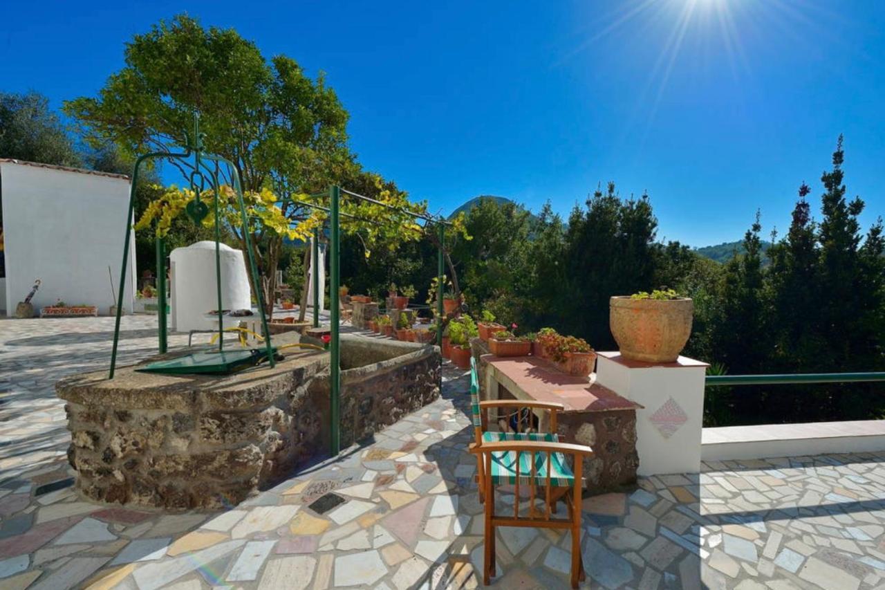 Villa Vincenzo Di Meglio Barano dʼIschia Dış mekan fotoğraf