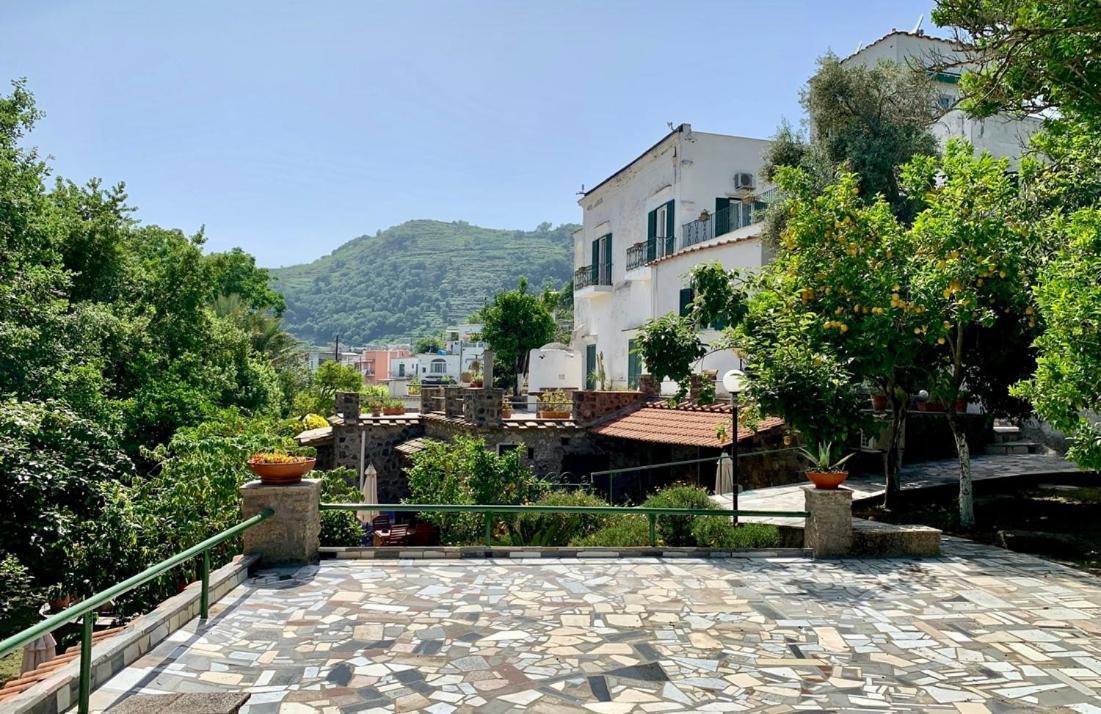Villa Vincenzo Di Meglio Barano dʼIschia Dış mekan fotoğraf