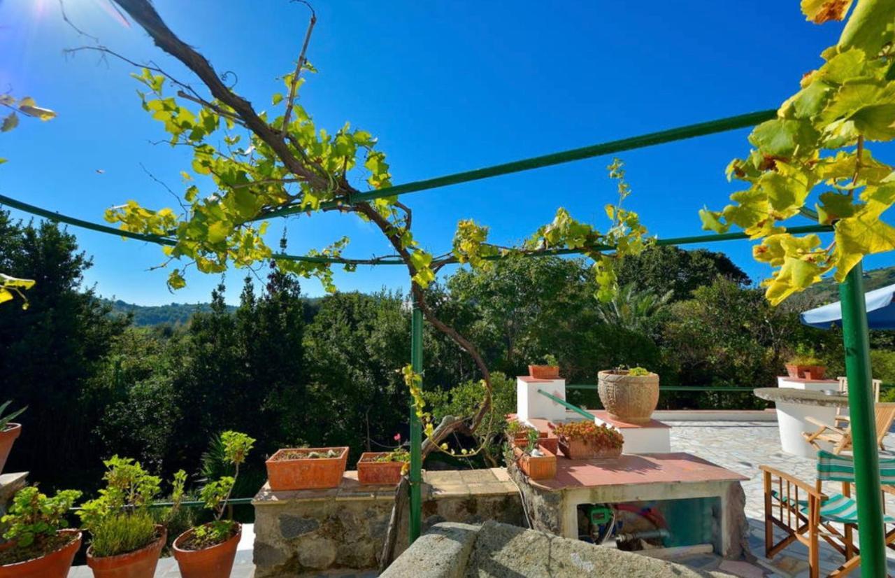 Villa Vincenzo Di Meglio Barano dʼIschia Dış mekan fotoğraf