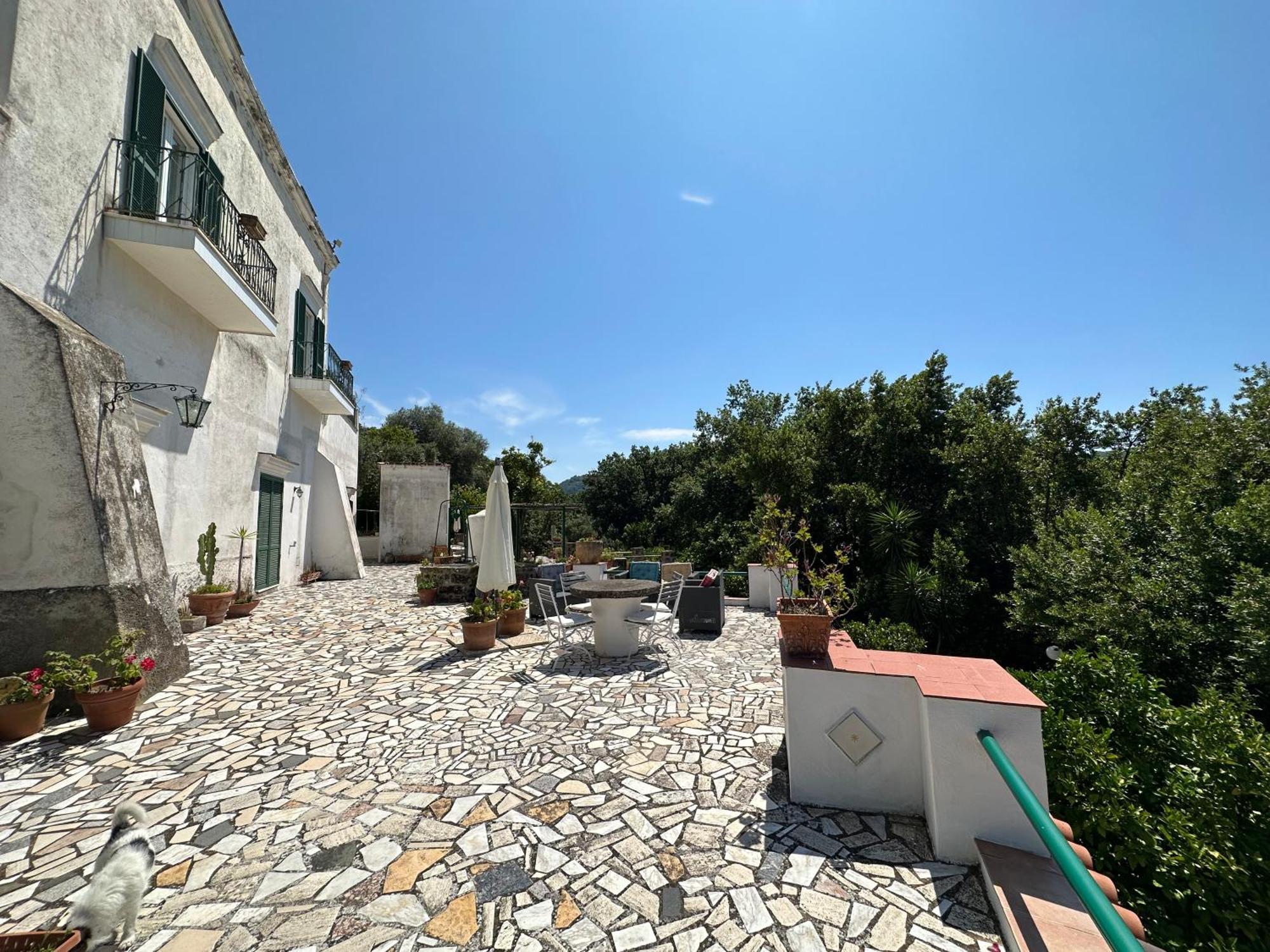 Villa Vincenzo Di Meglio Barano dʼIschia Dış mekan fotoğraf