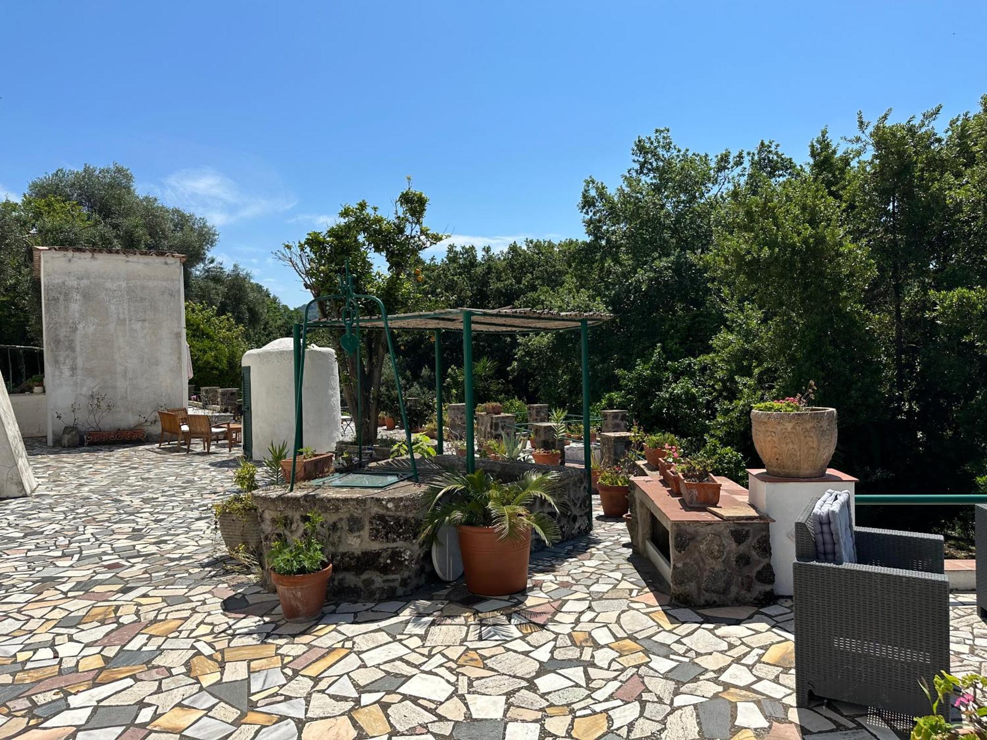 Villa Vincenzo Di Meglio Barano dʼIschia Dış mekan fotoğraf