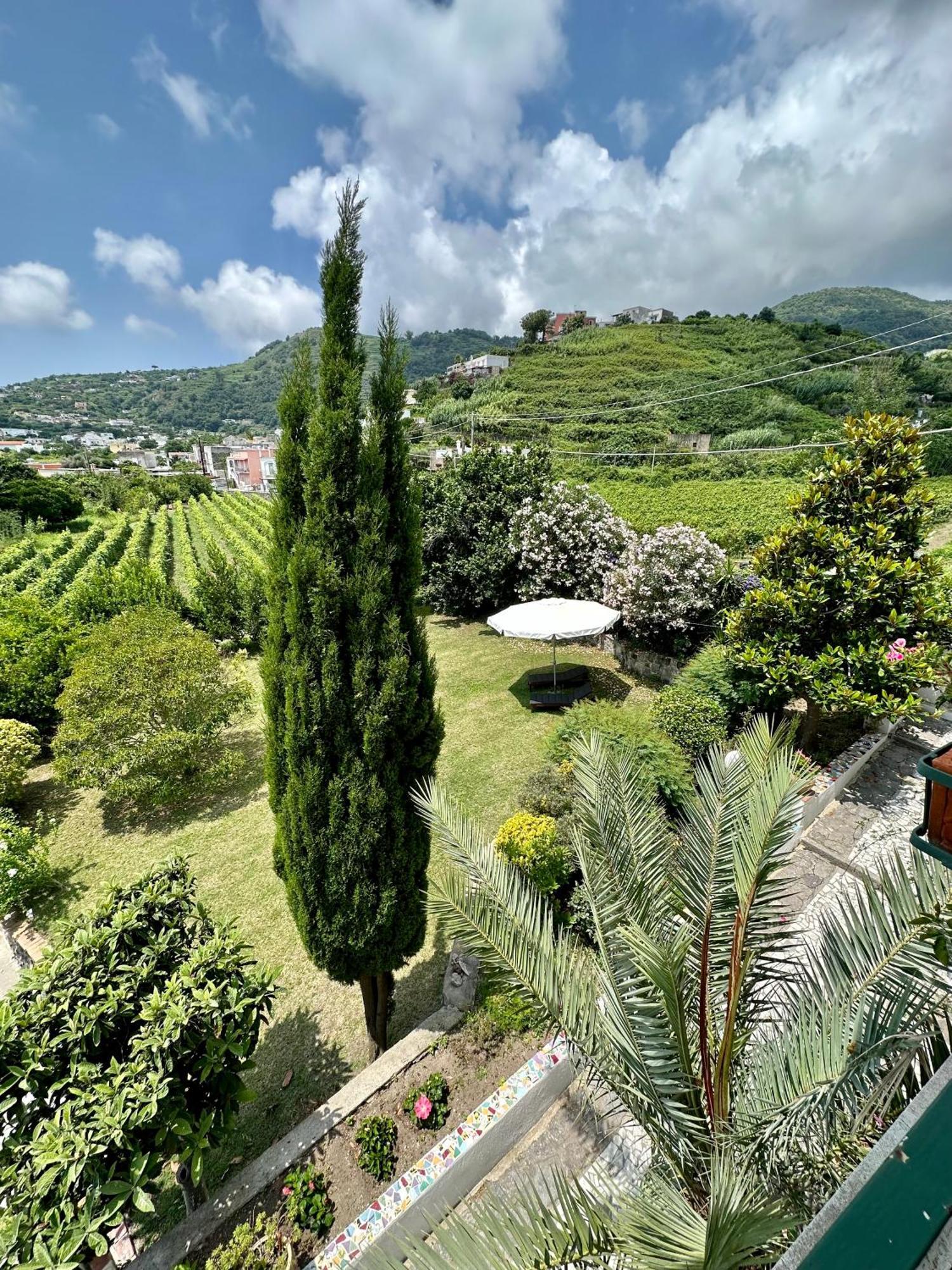 Villa Vincenzo Di Meglio Barano dʼIschia Dış mekan fotoğraf