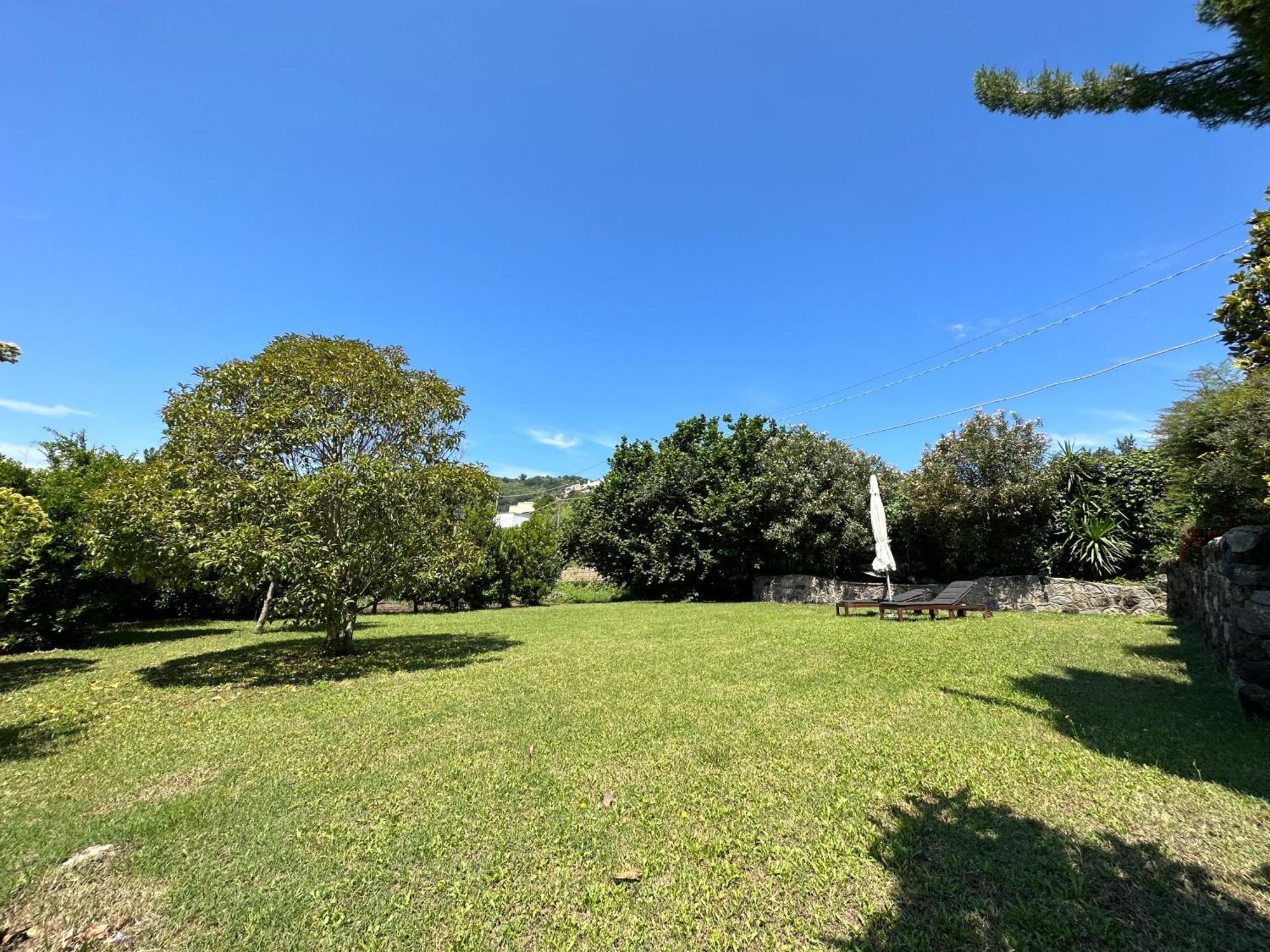 Villa Vincenzo Di Meglio Barano dʼIschia Dış mekan fotoğraf