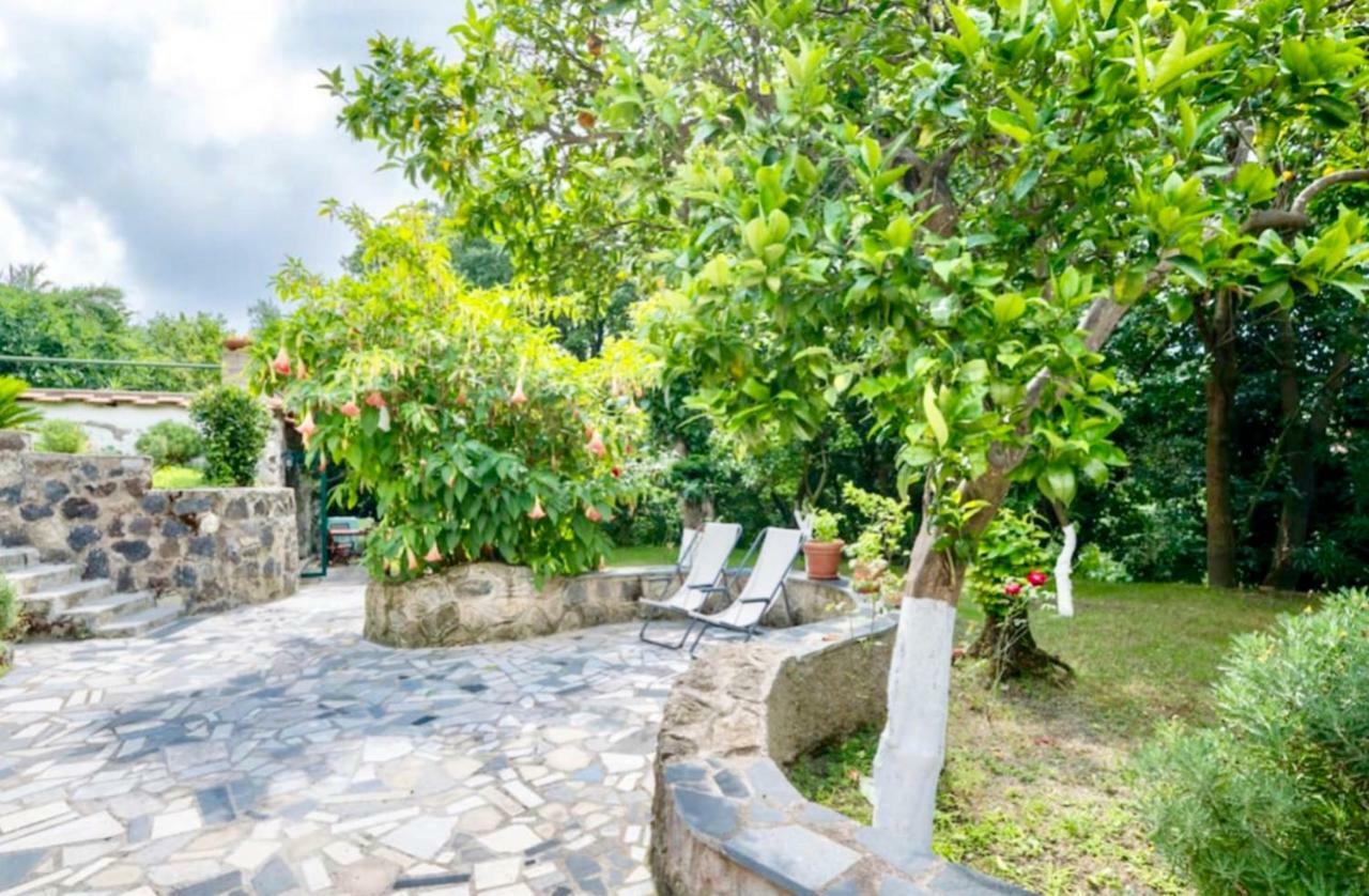 Villa Vincenzo Di Meglio Barano dʼIschia Dış mekan fotoğraf