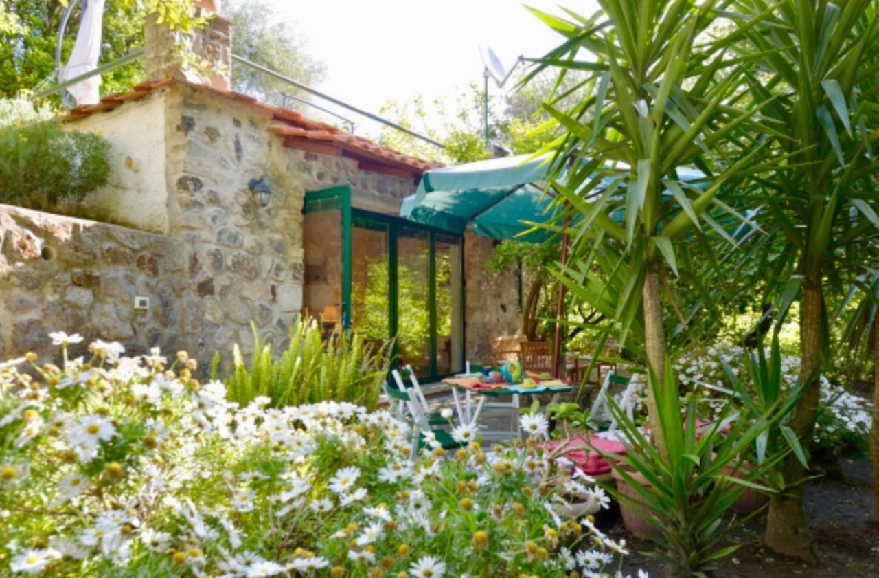 Villa Vincenzo Di Meglio Barano dʼIschia Dış mekan fotoğraf