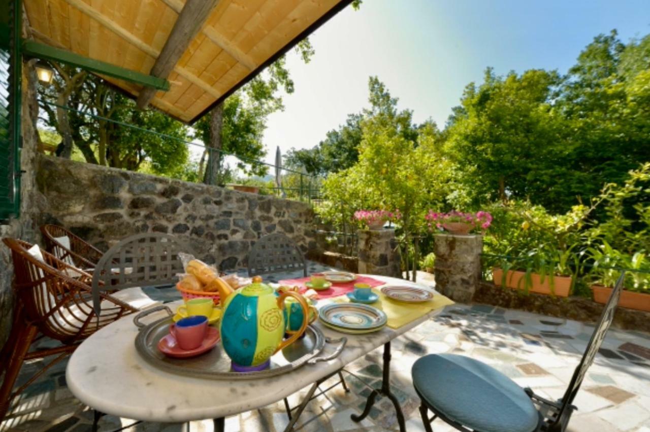 Villa Vincenzo Di Meglio Barano dʼIschia Dış mekan fotoğraf
